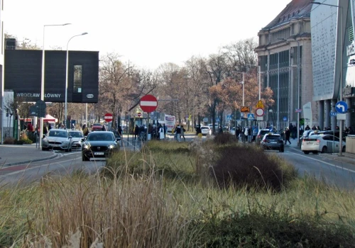 Wrocław. Przetarg na Suchą od nowa. Prawie pół roku przedprojektowego opóźnienia