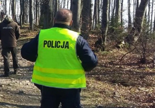 Tragedia na Podkarpaciu. 43-latek zginął podczas wycinki drzew