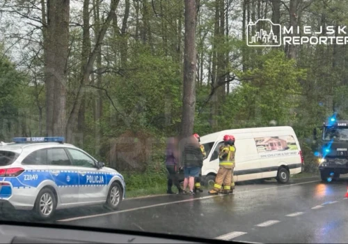 Kierujący busem wjechał w drzewo na DW631. Pasażer trafił do szpitala