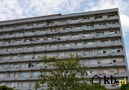 Jeszcze kilka lat temu powód do wstydu. Dziś wielka płyta napawa dumą