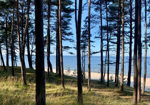Wracają opłaty nad Bałtykiem. Nawet 35 złotych od osoby