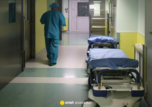 Alarm w holenderskim szpitalu. Popełnili błąd przy kontakcie z hantawirusem