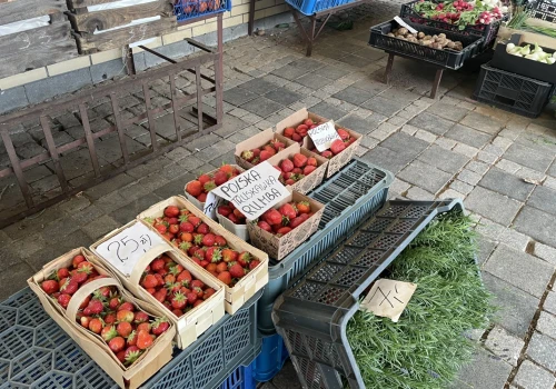 Pojawiły się pierwsze polskie truskawki, ale cena odstrasza