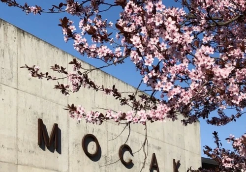 Muzeum MOCAK w Krakowie znowu bez dyrektora