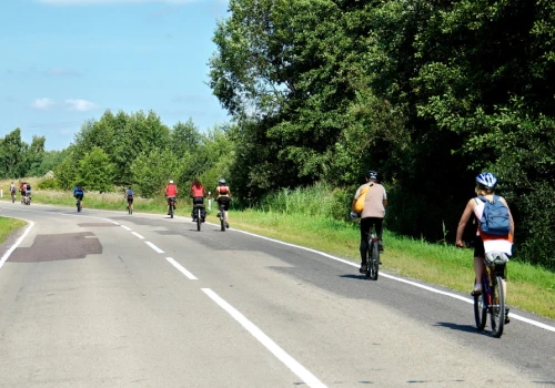 300 zł i 6 punktów karnych. Mandat za wyprzedzanie rowerzysty