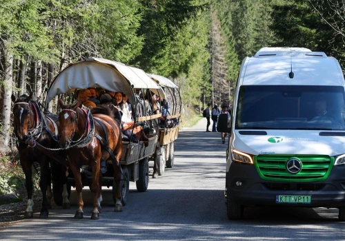Internauci komentują nagranie spod Morskiego Oka. Jedni piszą 