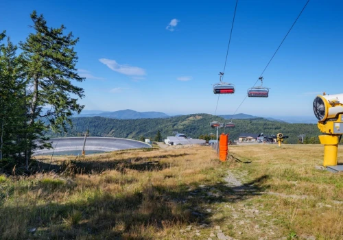 W polskich górach powstaje nowa atrakcja. Kiedy otwarcie Salamandra Alpine Coaster?