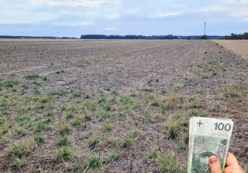 Miał polisę, a ARiMR i tak obcięła pomoc o połowę. Czy przepisy się zmienią?