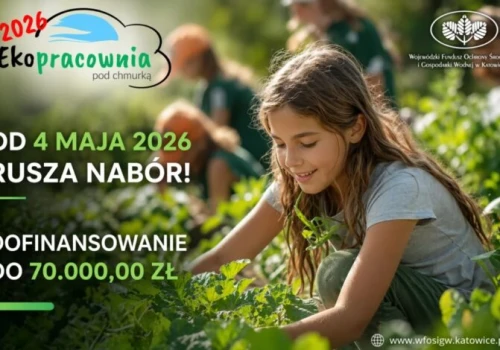WFOŚiGW w Katowicach ogłosił nabór wniosków w konkursie Ekopracownia pod chmurką!