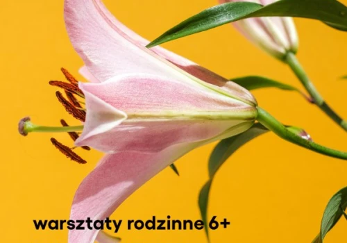 Warsztaty Rodzinne. Tajemne życie roślin