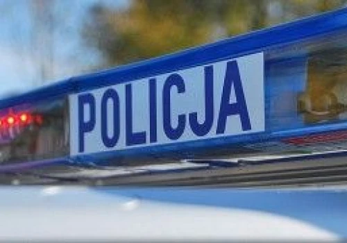 Policjant wydalony ze służby. Nie skrócił cierpienia rannego zwierzęcia