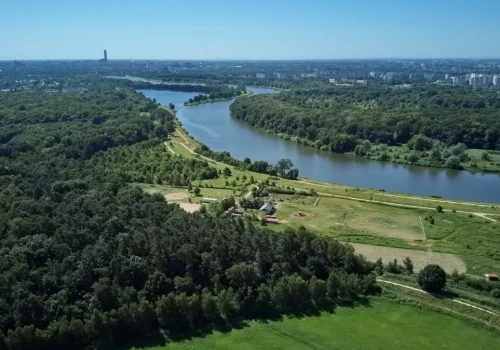 Politycy i wędkarze: Odra się odrodziła. Naukowcy: A gdzie tam