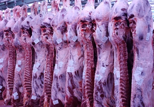 Szlaban dla wołowiny z Brazylii. UE jesienią zablokuje import tego mięsa