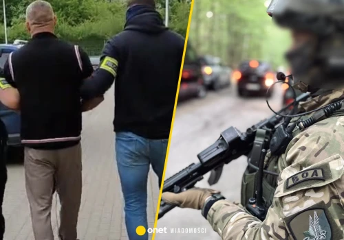 Gang złodziei samochodów rozbity. Policja zatrzymała dziewięć osób