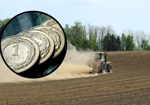 Dotowane ubezpieczenia po nowemu. Więcej upraw i prostsze zasady dla rolników