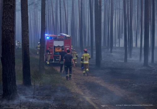 Koniec akcji gaśniczej w Puszczy Solskiej. Spłonęło kilkaset hektarów lasu