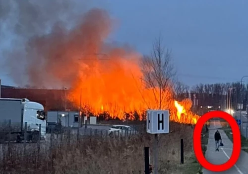 Podszedł do trawy i podłożył ogień. Kamery uchwyciły moment podpalenia