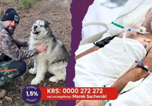 „W jednej chwili straciłam wszystko”. Dramaticzny apel Wioletty