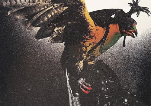 Budgie i album In For The Kill!
