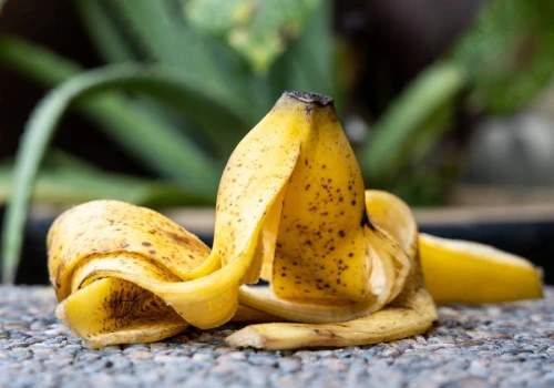 Nie wyrzucaj skórki bananów do kosza. Zakop je w ogrodzie