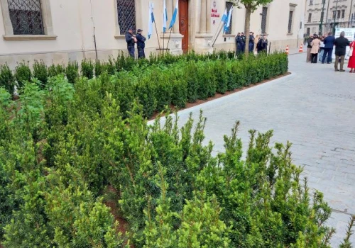 Więcej zieleni przed magistratem – tam, gdzie do niedawna stały limuzyny