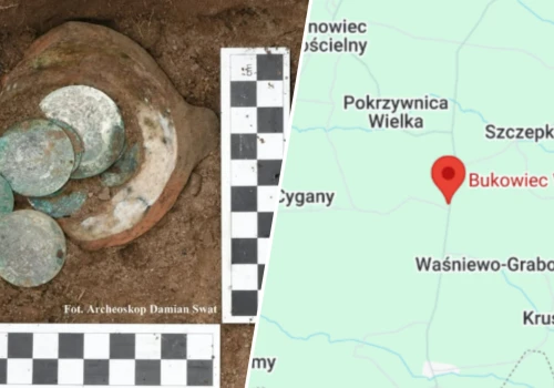Rolnik znalazł skarb na polu. Teraz wszyscy będą mogli go podziwiać