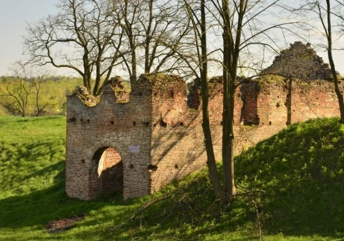 Ruiny zamku w Dankowie. Unikalna twierdza bastionowa Warszyckiego