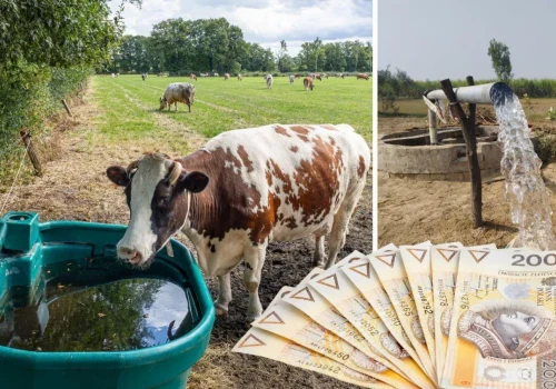 Masz studnię? Lepiej uważaj. Za pobór wody grożą kary nawet do 1 mln zł