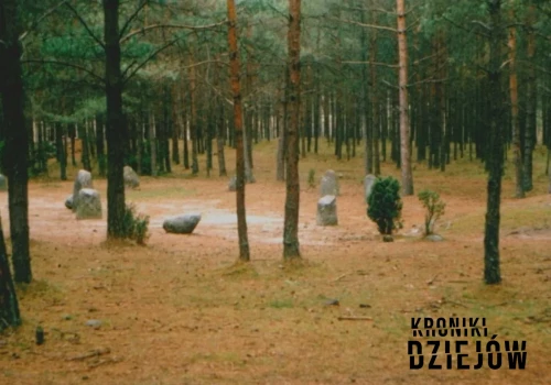 Polskie Stonehenge: Co naprawdę działo się w kamiennych kręgach na Kaszubach?
