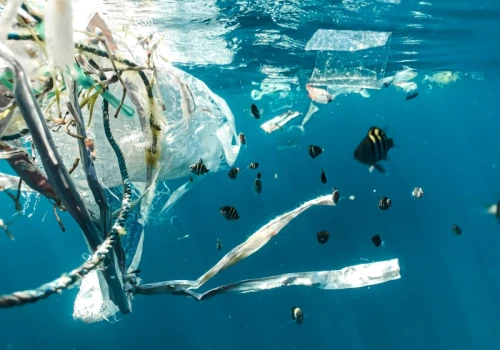 Jak przekształcić niechciany plastik w źródło czystej energii? Naukowcy znają odpowiedź