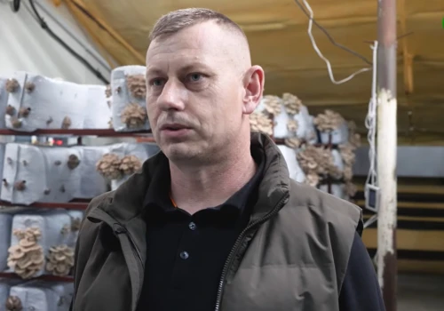 Zaczęli od kilku kilogramów. Dziś produkują do 400 ton podłoża do boczniaków tygodniowo
