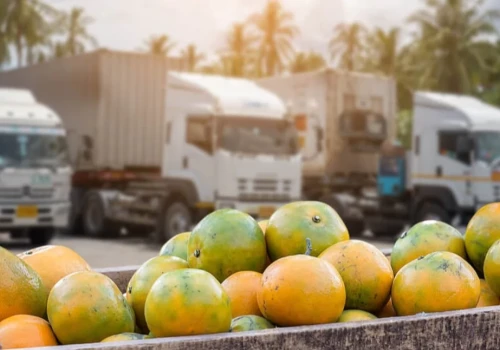 Przewóz produktów sezonowych w chłodni – jak przygotować logistykę przed szczytem zamówień?