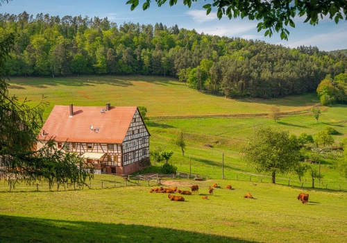 Nie hotel i nie apartament. Turyści śpią tam, gdzie kiedyś nikt nie szukał wakacji