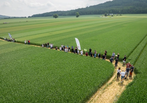 Przymrozki, susza i trudna wiosna. Zielone Pola pokażą, co dzieje się na polach