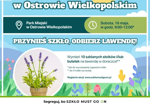 Lawenda za butelki.  Wielka Zbiórka Szkła w Ostrowie Wielkopolskim już 16 maja!