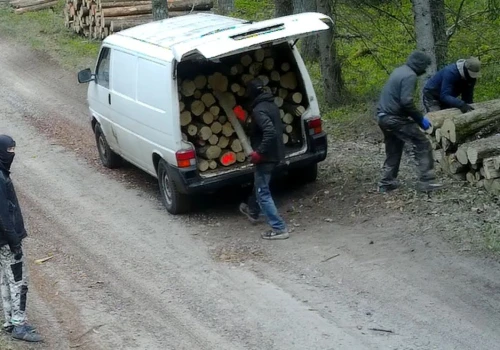 Gang w kominiarkach nagrany w lesie na Mazurach. Pakowali drewno do busa