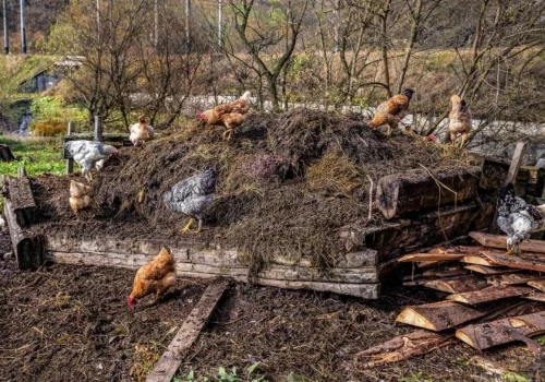 Kontrole w gospodarstwach rolnych. Co sprawdzaja i jakie kary od Inspekcji Ochrony Środowiska?