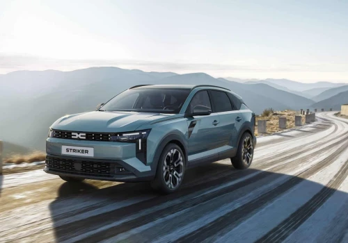 Dacia Striker – kilka szczegółow