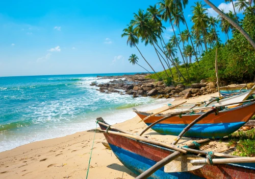 Herbaciane wzgórza, świątynie i plaże 🌿✈️ Loty do Sri Lanki z aż 4 polskich miast od 2499 PLN 🤩