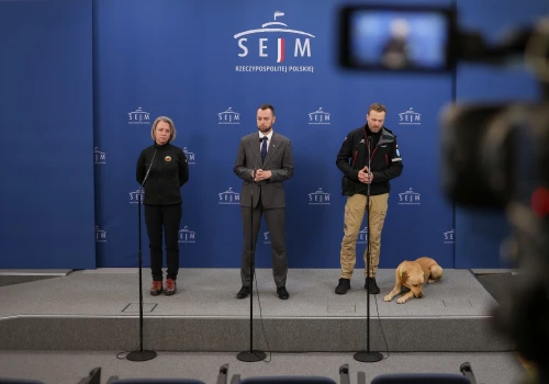 Kolejna nowela ustawy o OSP. Tym razem chodzi o psy ratownicze
