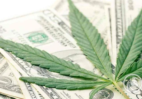 Marihuana po reklasyfikacji: wciąż daleka droga do federalnej legalizacji w USA