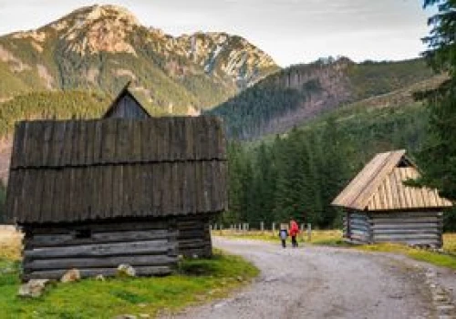 Hotel na 300 pokoi na środku polany? Mieszkańcy są przeciw