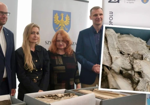 Gniazda pająków w opolskich „białych krukach”. „To częściowy destrukt”