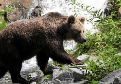 Coraz mniej turystów jedzie w Bieszczady. Wystraszyli ich politycy