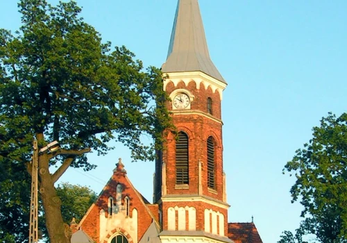 Aura zapisana w słojach