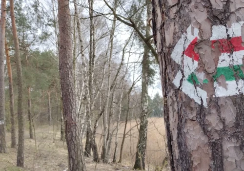 Szlaki turystyczne w Jaworznie: Jaworznicki Obszar Gospodarczy wymusza zmiany na mapie naszego miasta. Pora też odświeżyć turystyczne znaki