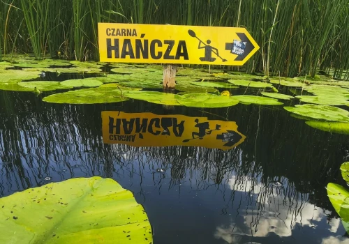Znana rzeka i jezioro skażone zawiesiną. Polacy kochają tam pływać kajakami