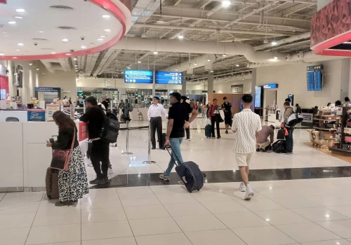 Skaner na lotnisku wykrył coś podejrzanego. W środku były martwe niedźwiadki