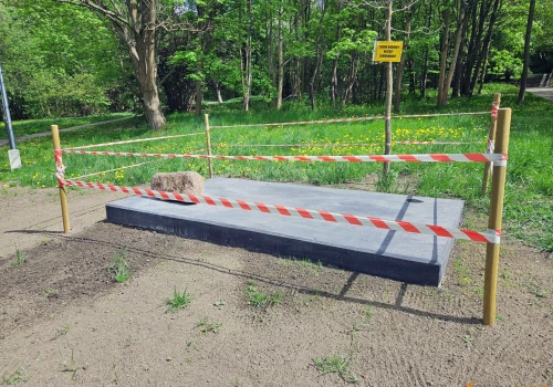 W centrum Olsztyna stanie rzeźba jelenia. Monument ma przyciągać turystów. Trafiona atrakcja?