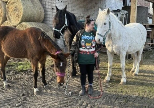 Ratują dzikie i hodowlane zwierzęta. Fundacja Patataj potrzebuje pomocy